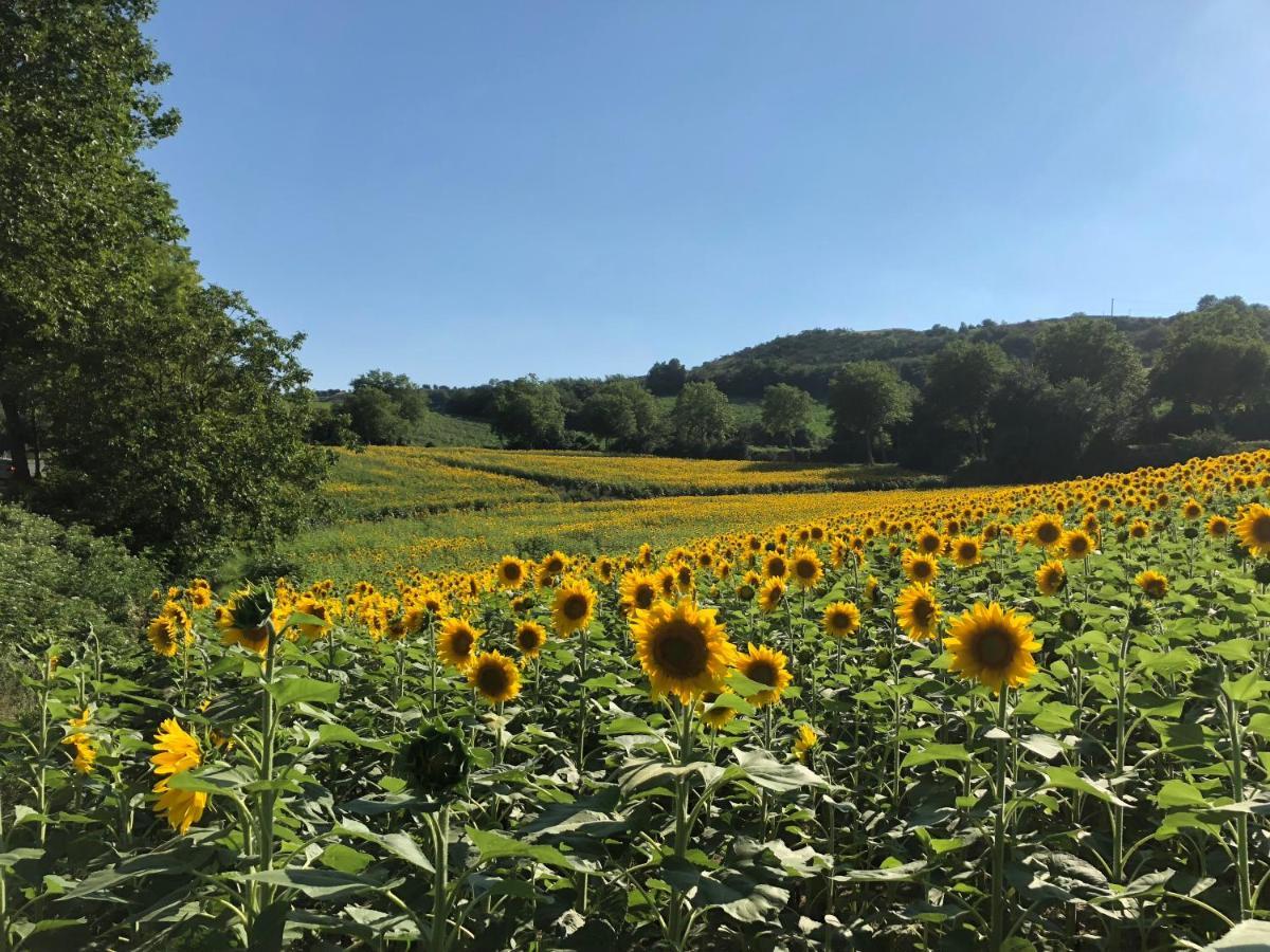 Le grenier occitan Bed and Breakfast Gramazie Exteriör bild